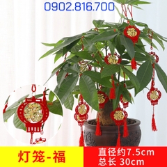 Set 5 Liễng nhung đỏ hình quạt , cá chép , lồng đèn khắc chữ PHƯỚC vàng treo cây mai đào tắc phụ kiện trang trí TẾT