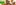 https://bizweb.dktcdn.net/100/106/243/collections/noi-that-banner.jpg?v=1692863538723
