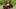 Mazda CX8 2.5 Premium AWD 2020 Đẹp Miễn Chê