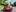 Toyota Yaris 1.3G 2016 màu đỏ