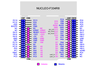 board-nucleo-f334r8-stm32f334r8