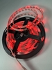 Cuộn led Full màu 1903 tự nháy (cuộn 5M) điện áp 12V
