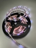 Cuộn led Full màu 1903 tự nháy (cuộn 5M) điện áp 12V