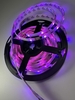 Cuộn led Full màu 1903 tự nháy (cuộn 5M) điện áp 12V