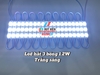 Led hắt 3 bóng 6012, 6113 (1,2W) ngoài trời màu Trắng Sáng, Trắng Ấm (vỉ 20 thanh) nhân Led 2835