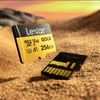 Thẻ nhớ MicroSDXC Lexar GOLD 128GB / 256GB A1 V60 U3 4K UHS-II tốc độ đọc 280MB/s ghi 180MB/s (gold)