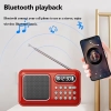 Loa đài FM có bluetooth BANNIXING D-55 có khe thẻ nhớ/ USB / Tai nghe - dùng pin sạc 18650