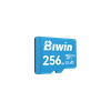 Thẻ nhớ microSDXC BIWIN 256GB / 128GB UHS-I U3 V30 Đọc 100MB/s, Ghi 50MB/s (xanh)