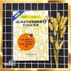 [FREESHIP] Hajimeyou Nihongo Shokyu 2 Doriru & Bunpou (Sách bài tập)