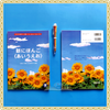 Sách tiếng Nhật - Sách luyện viết chữ cái Shin Nihongo <a i u e o>