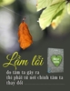 Hiểu Về Trái Tim (Tái Bản 2019)