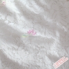 Đầm Nữ Thu Đông SNC DN10011