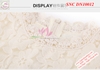 Đầm Nữ Thu Đông SNC DN10012
