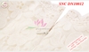 Đầm Nữ Thu Đông SNC DN10012