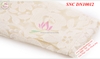 Đầm Nữ Thu Đông SNC DN10012