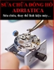 /dia-chi-uy-tin-sua-chua-thay-pin-dong-ho-adriatica-timesstore-vn
