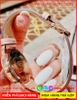 dong-ho-nu-coach-mat-tron-hoa-vang-gold-day-hong-timesstore-vn