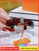 dong-ho-nu-davena-mat-oval-dinh-da-swarovski-day-da-nau-timesstore-vn