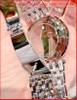 dong-ho-nu-michael-kors-darci-mat-full-da-tim-day-kim-loai-timesstore-vn