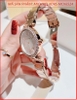 dong-ho-nu-michael-kors-parker-lux-mat-dinh-da-day-rose-gold-timesstore-vn