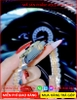 dong-ho-nu-rolex-sieu-cap-replica-1-1-mat-xanh-dinh-da-day-demi-vang-gold-timesstore-vn