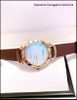 dong-ho-nu-salvatore-ferragamo-day-da-nau-sal6241-thoi-trang-dep-gia-re-timesstore-vn