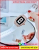 dong-ho-nu-xcer-mat-oval-da-rose-gold-day-silicone-trang-timesstore-vn