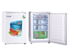 tủ đông gia đình 100l