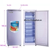 Tủ đông đứng Funiki Hòa Phát HCF 220S 216L 8 ngăn
