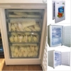 Giảm Giá Đặc Biệt Tủ Đông Trữ Thực Phẩm, Trữ Sữa Cho Bé
