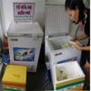 Tốp 5 tủ đông trữ sữa nhiều mẹ dùng nhất
