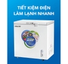 Tủ đông gia đình Hòa Phát 200L ( 1 ngăn đông )