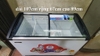 Tủ đông kính cong Nishu NTK 488SK 1 ngăn đông 400l