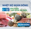 Tủ đông mini 200l 1 ngăn đông 1 ngăn mát  (ĐÔNG+ MÁT)