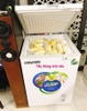 Tủ Đông Hòa Phát 110l lít ga 600a TIẾT KIỆM Điện.,.