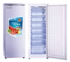 3 mẫu Tủ đông đứng chia ngăn