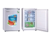 Tủ cấp đông mini 100l