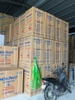 Khai Xuân Tủ Đông Hòa Phát Giá Hấp Dẫn, LH:  Hà Nội : 0984815875 -0369077979 Hcm : 0969124421 - 0762007700