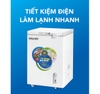 Tủ đông gia đình 110 lít - TIẾT KIỆM ĐIỆN - DÀN ĐỒNG trữ thực phẩm chống dịch