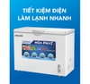 Tủ đông Hòa Phát 1 ngăn đông 1 cánh  300L(1 chế độ đông) Tiết Kiệm điện