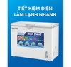 Tủ đông Hòa Phát 1 ngăn đông 1 cánh  250L(1 chế độ đông) Tiết Kiệm điện