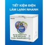 Tủ đông gia đình 200l 1 chế độ ( Đông) 1 cánh TIẾT KIỆM ĐIỆN