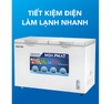 Tủ đông 400L 1 ngăn 1 chế độ (Đông) 2 cánh DÀN ĐỒNG