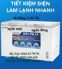 Tủ đông 250L 2 chế độ ( Đông + mát ) 2 ngăn 2 cánh DÀN ĐỒNG
