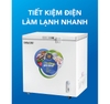 Tủ đông mini 200l 1 chế độ đông MẪU MỚI  2022- TIẾT KIỆM ĐIỆN