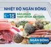 Tủ Đông Hòa Phát HCFI 516S1Đ1 1 CHẾ ĐÔNG