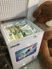 Tủ đông trữ sữa mini 100 lít