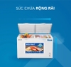 Tủ đông Hoà Phát Inverter 245 Lít HPF BD8245 / HCFI 606 S2Đ2