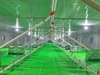 Lưới mắt cáo xanh - Phù Hợp Mọi Trang Trại Chăn Nuôi