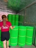 Lưới mắt cáo xanh - Phù Hợp Mọi Trang Trại Chăn Nuôi